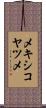メキシコヤツメ Scroll