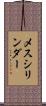 メスシリンダー Scroll