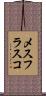 メスフラスコ Scroll