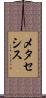 メタセシス Scroll