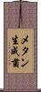 メタン生成菌 Scroll