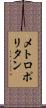 メトロポリタン Scroll