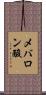 メバロン酸 Scroll