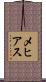 Mejias Scroll