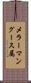 メラーマングース属 Scroll