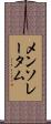 メンソレータム Scroll