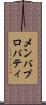 メンバ・プロパティ Scroll