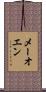 Maiwen Scroll