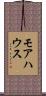 Morehouse Scroll