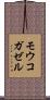モウコガゼル Scroll