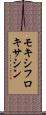 モキシフロキサシン Scroll