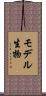 モデル生物 Scroll