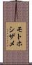 モトホシザメ Scroll