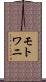 モトワニ Scroll
