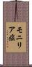 モニリア症 Scroll