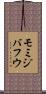 モミジバフウ Scroll