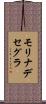 モリナデセグラ Scroll