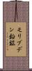 モリブデン鉛鉱 Scroll