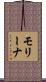 Molina Scroll