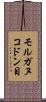 モルガヌコドン目 Scroll