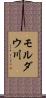 モルダウ川 Scroll