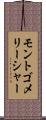 モントゴメリーシャー Scroll