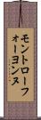 モントローフォーヨンヌ Scroll
