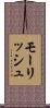 モーリッシュ Scroll