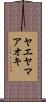 ヤエヤマアオキ Scroll