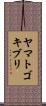 ヤマトゴキブリ Scroll