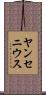 ヤンセニウス Scroll