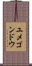ユメゴンドウ Scroll