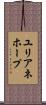 ユリアネホープ Scroll