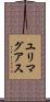 ユリマグアス Scroll
