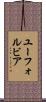 ユーフォルビア Scroll