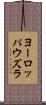 ヨーロッパウズラ Scroll