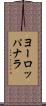 ヨーロッパナラ Scroll