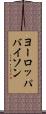 ヨーロッパバイソン Scroll