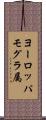 ヨーロッパモグラ属 Scroll