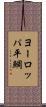 ヨーロッパ平鯛 Scroll