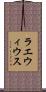 ラエウィウス Scroll