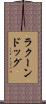 ラクーンドッグ Scroll