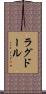 ラグドール Scroll