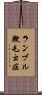 ランブル鞭毛虫症 Scroll