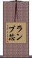 ランプ芯 Scroll