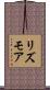 リズモア Scroll
