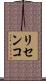 リセンコ Scroll