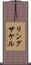 リングサケル Scroll