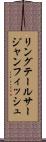 リングテールサージャンフィッシュ Scroll
