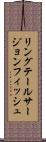 リングテールサージョンフィッシュ Scroll